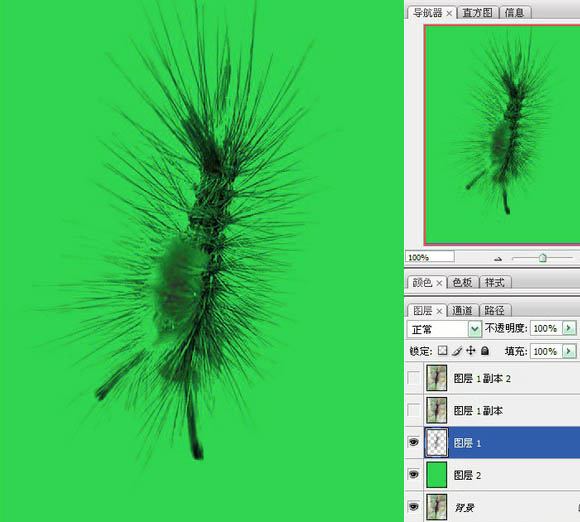 黑毛抠出后的效果图