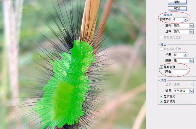 白色毛发抽出设置图