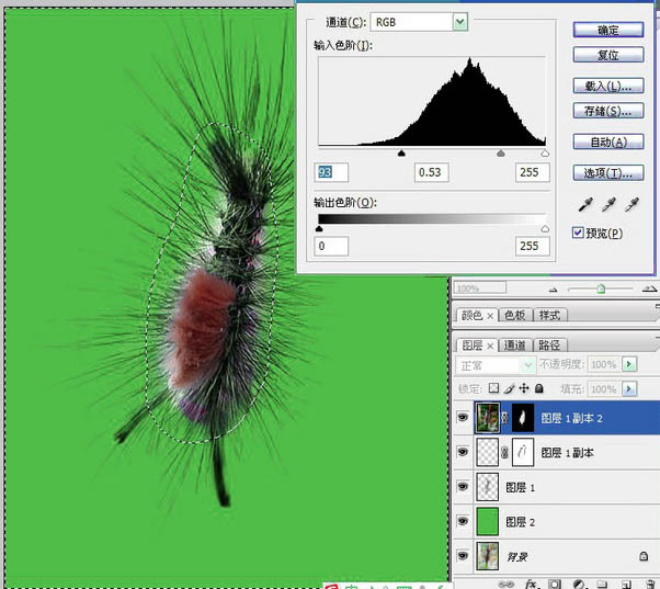 虫子身体绘制及细节强化操作图